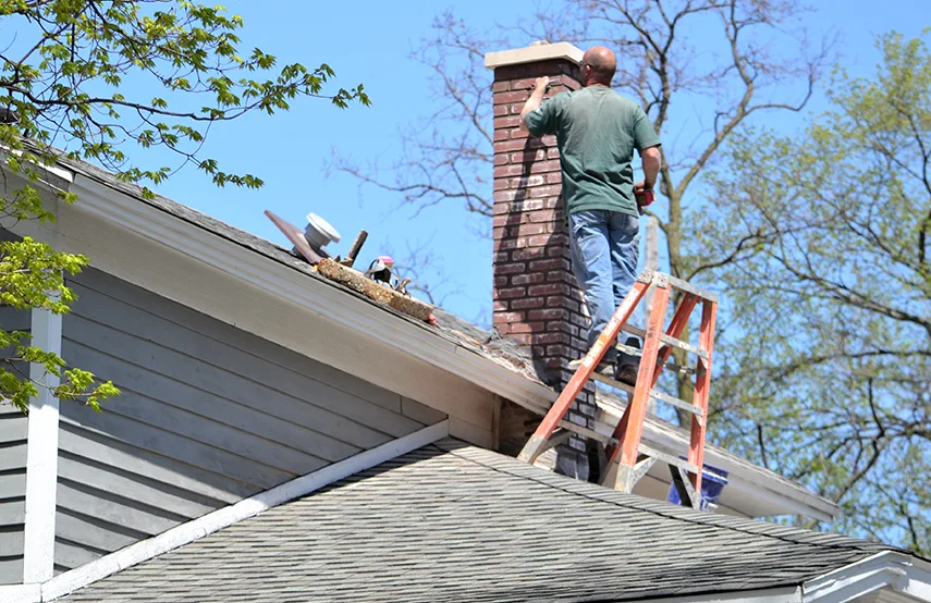 Chimney & Fireplace Inspections Services in Ridgeland, MS